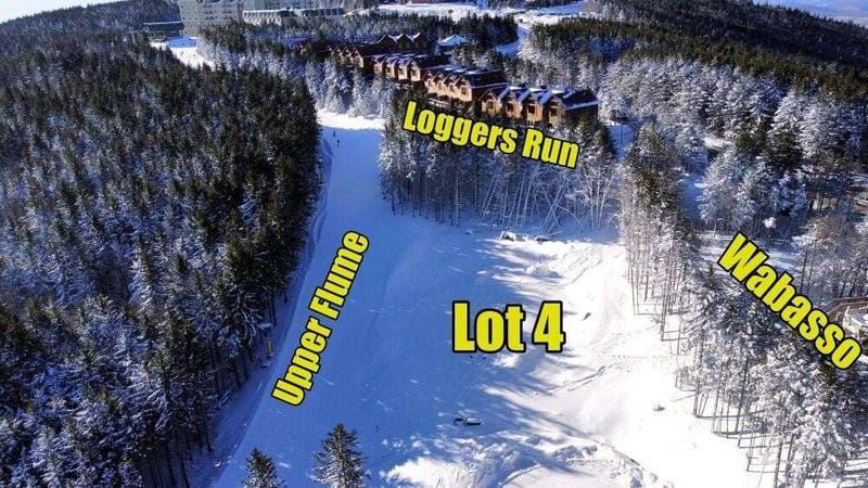 246 Forever Wild Way, Snowshoe, WV 26209  621940236 for Sale