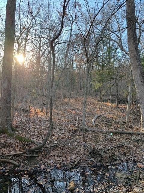 Little Indian Road, Roach, MO 65787 for Sale