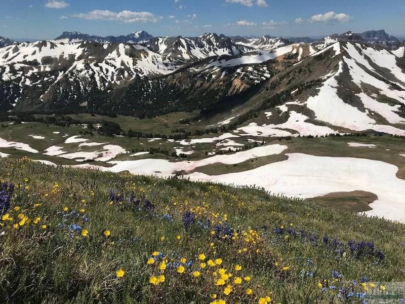 Cooke City, Park County, MT Undeveloped Land for sale Property ID: 418850796