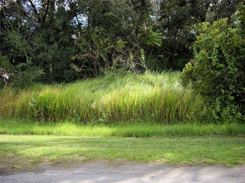 1394 Burnley Court, Kissimmee, FL 34758 for Sale