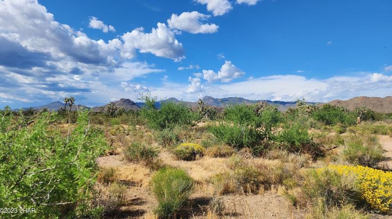 166 S Cattle Crossing Rd, Yucca, AZ 86438 - MLS 1029182 for Sale