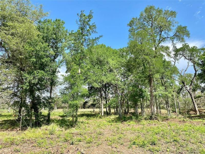 1365 FM 2104, Smithville, TX 78957 for Sale