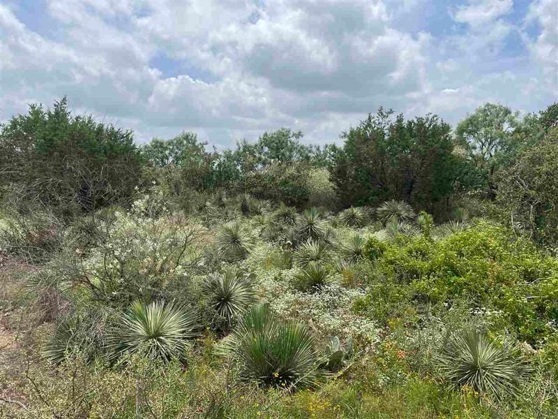 106-107 Hilldale Granite Shoals, Granite Shoals, TX 78654 for Sale