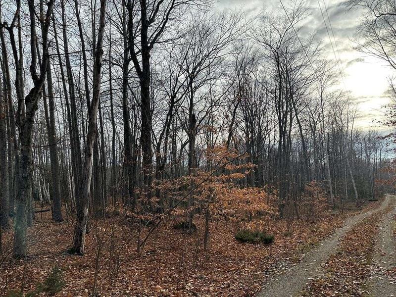 Birch Field Ln, Ellison Bay, WI 54210  613109244 for Sale
