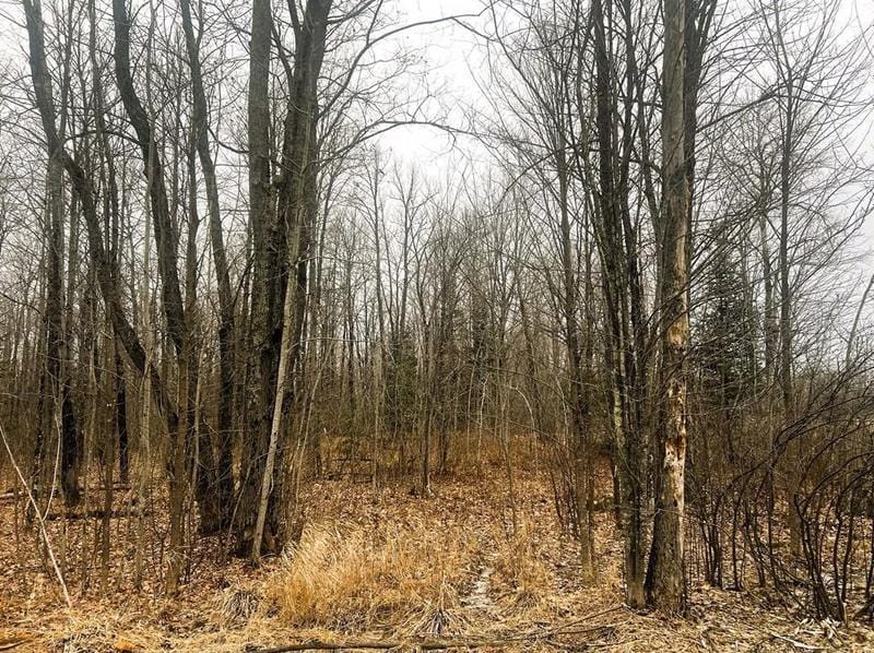 10 Acres On Andys Rd, Ingram, WI 54526 - MLS 1579445 for Sale