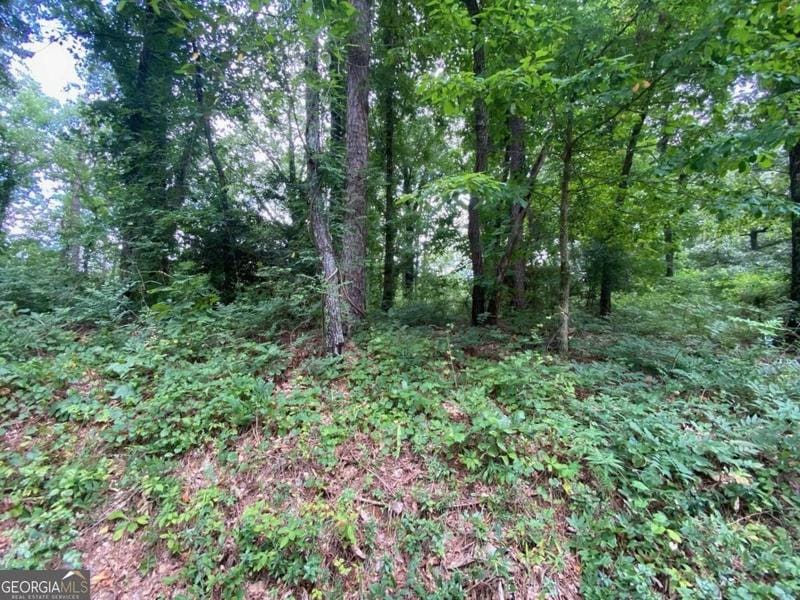Cartersville, Bartow County, GA Undeveloped Land, Homesites for sale Property ID: 418737811