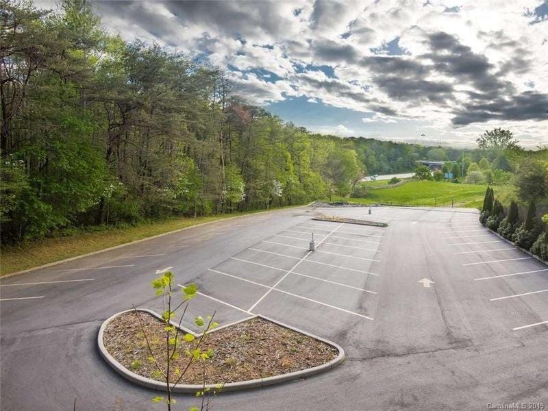303 Gashes Creek Road, Asheville, NC 28803  624517438 for Sale