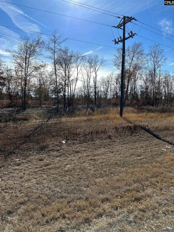 Cassatt, Kershaw County, SC Undeveloped Land for sale Property ID: 418482064