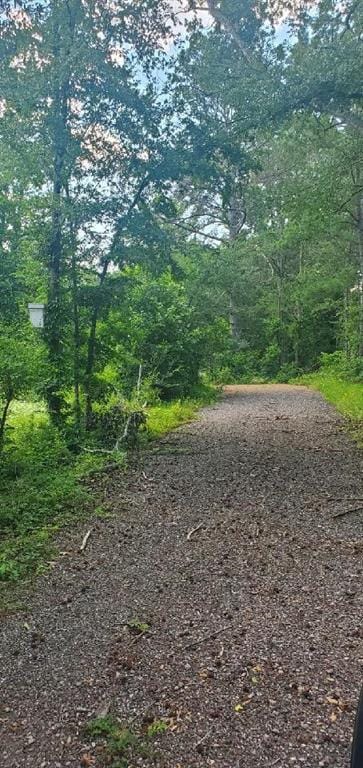 TBD County Road 4314, Larue, TX 75770 for Sale