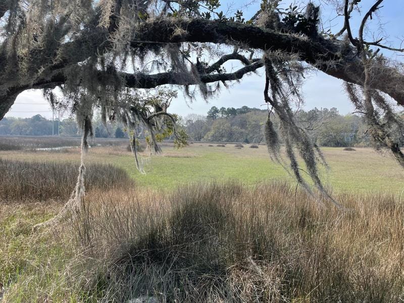 558 River Road, Johns Island, SC 29455 for Sale