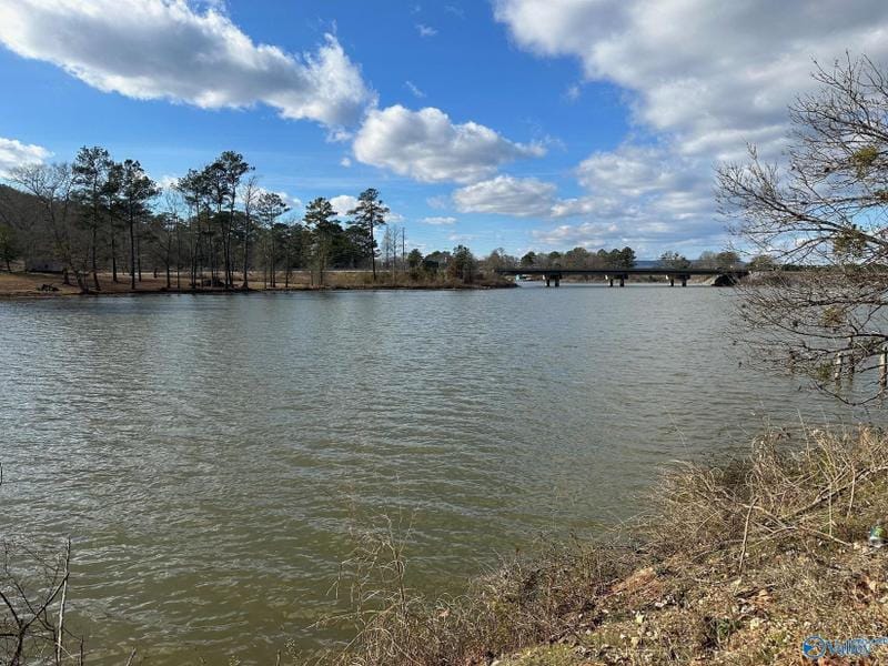 Rainbow City, Etowah County, AL Undeveloped Land, Lakefront Property, Waterfront Property, Homesites for sale Property ID: