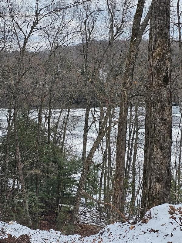 Ogema, Price County, WI Undeveloped Land, Lakefront Property, Waterfront Property, Homesites for sale Property ID: 418539920