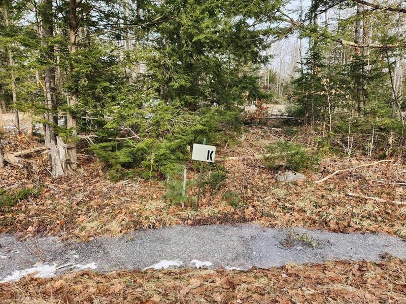 197 Poplar Street, Old Town, ME 04468  624826675 for Sale