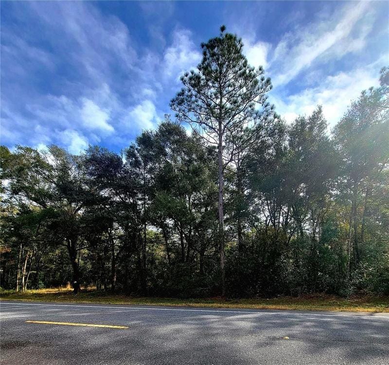 Williston, Levy County, FL Undeveloped Land, Homesites for sale Property ID: 418523184