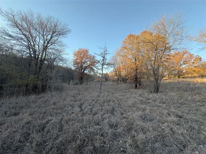 Chico, Wise County, TX Undeveloped Land, Homesites for sale Property ID: 418656299
