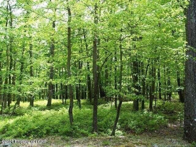 RVW Lot 25 Turnberry Lane, Hazleton, PA 18202  620948373 for Sale