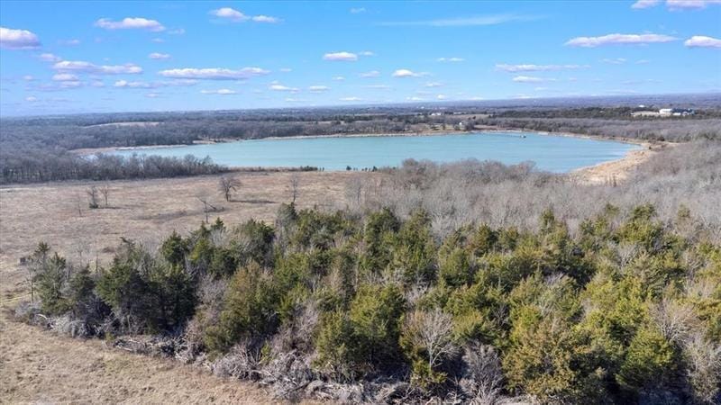 955 County Road 3015, Bonham, TX 75418 for Sale