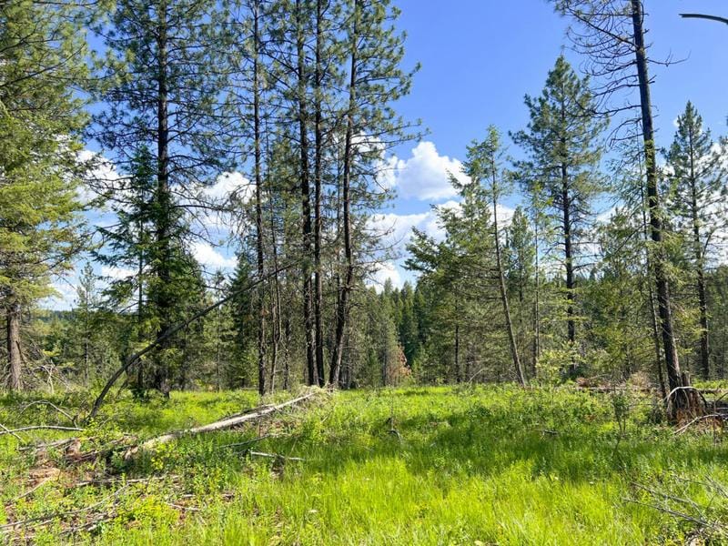 47X- 2 BOWLER RD, SPRINGDALE, WA 99173 Land For Sale  MLS# 43019