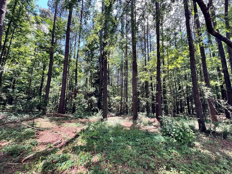 LOT 4 LEWIS LANE, Meadville, MS 39653 Land For Sale  MLS# 20240001