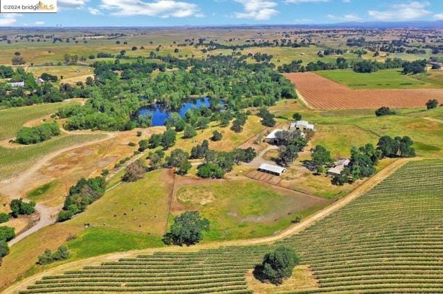 21619 E Highway 12 Rd, Clements CA 95227 for Sale