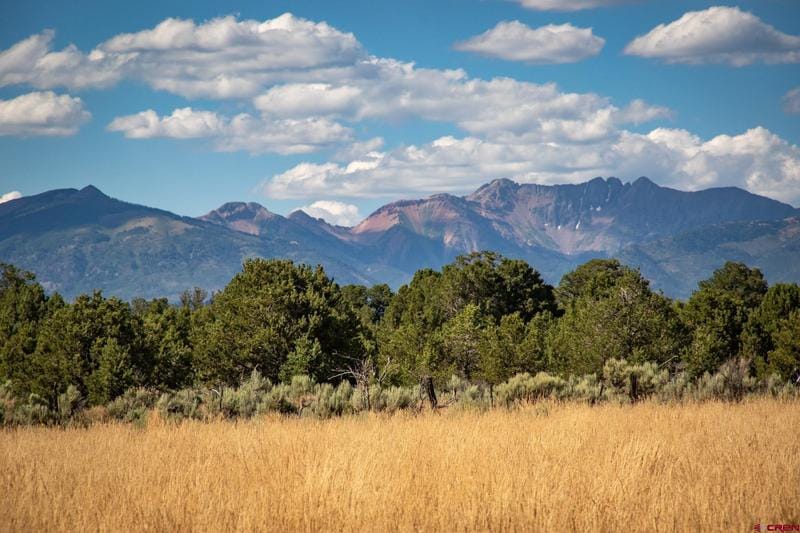 136 County Road 136, Hesperus, CO 81326 for Sale