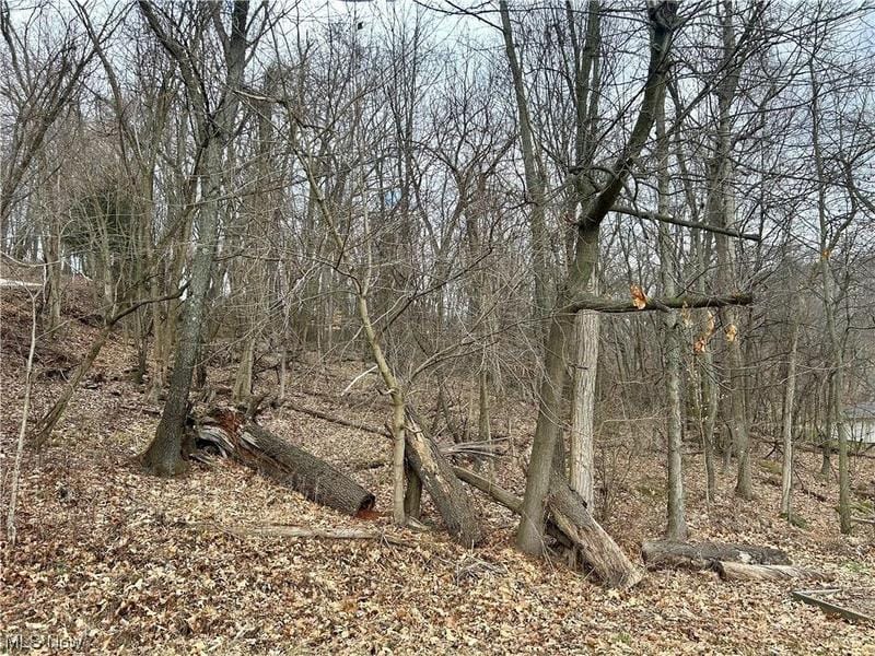 Malvern, Carroll County, OH Undeveloped Land, Lakefront Property, Waterfront Property, Homesites for sale Property ID: 418911536