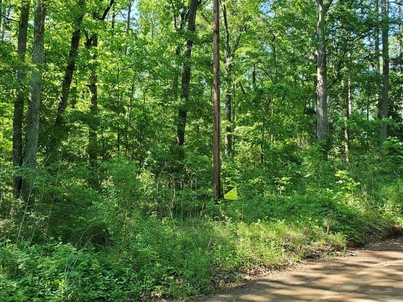 LAke View 2 8692, Winnsboro, TX 75494 for Sale