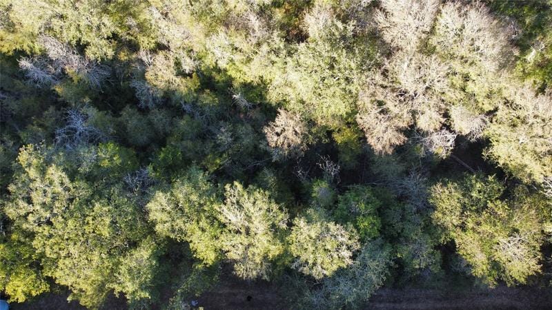 Lot 604 Neene Lane, Bastrop, TX 78602 for Sale