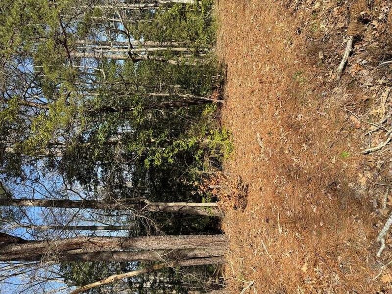 0 Whays Creek Road, Reedville, VA 22539  621128922 for Sale