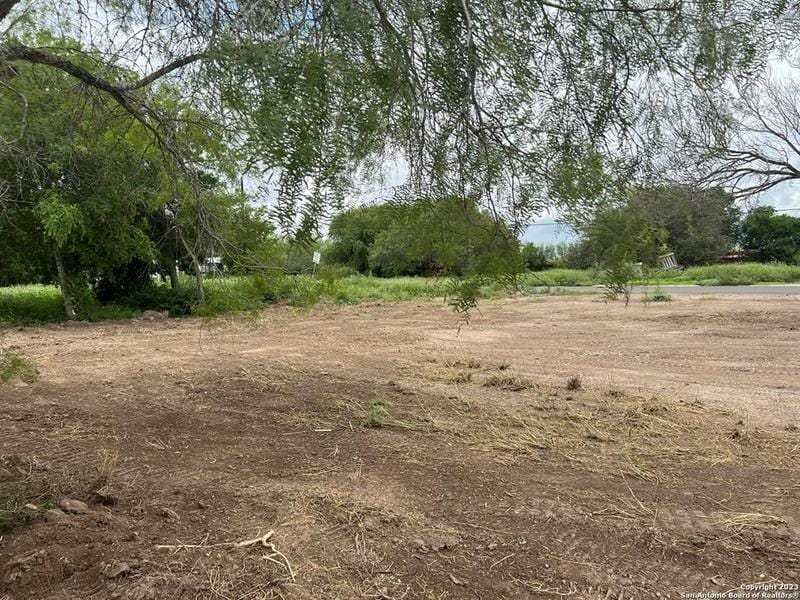 1015 E Pearson St, Freer, TX 78357 for Sale