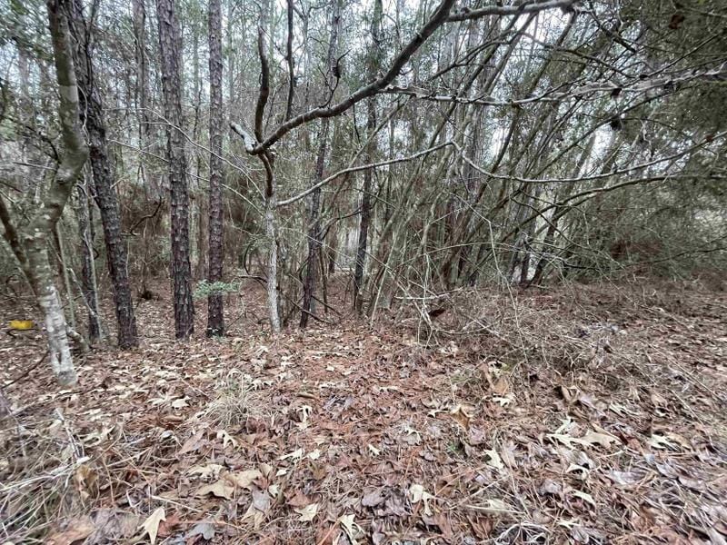 Brookeland, Jasper County, TX Undeveloped Land, Homesites for sale Property ID: 418871083
