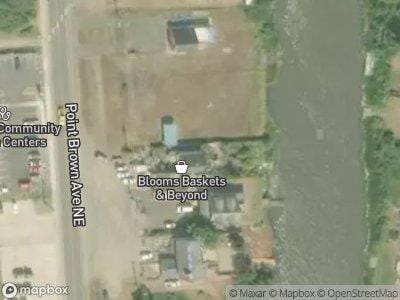 Pt Brown Ave NE for Sale