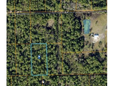 Smyrna Beach 32168 for Sale