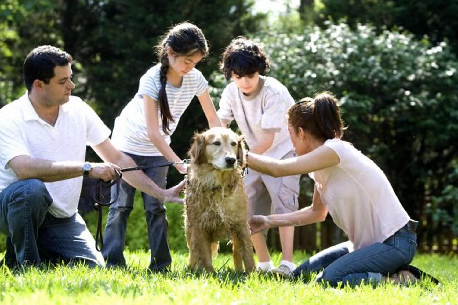 Jackson County Animal Shelter
