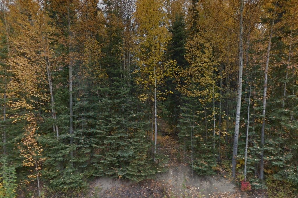 Lost-N-Found Pets & The Pet Ride Mini Shelter