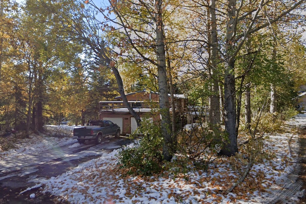 Kitty & K-9 Connection