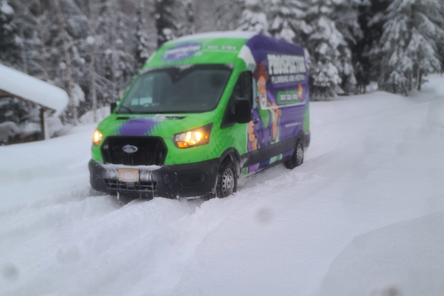 Ruff Start Kennel and Rescue