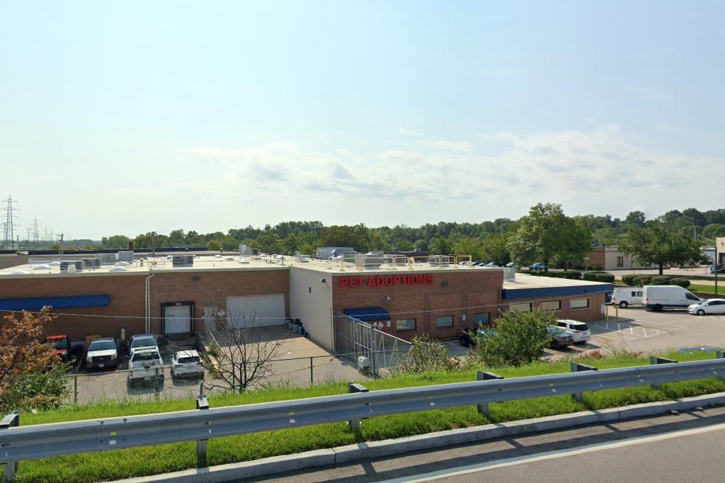 St Louis County Animal Shelter