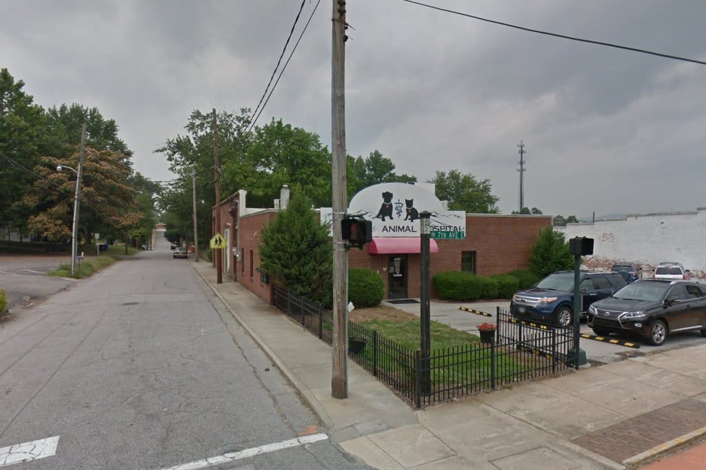 All Saints Animal Hospital