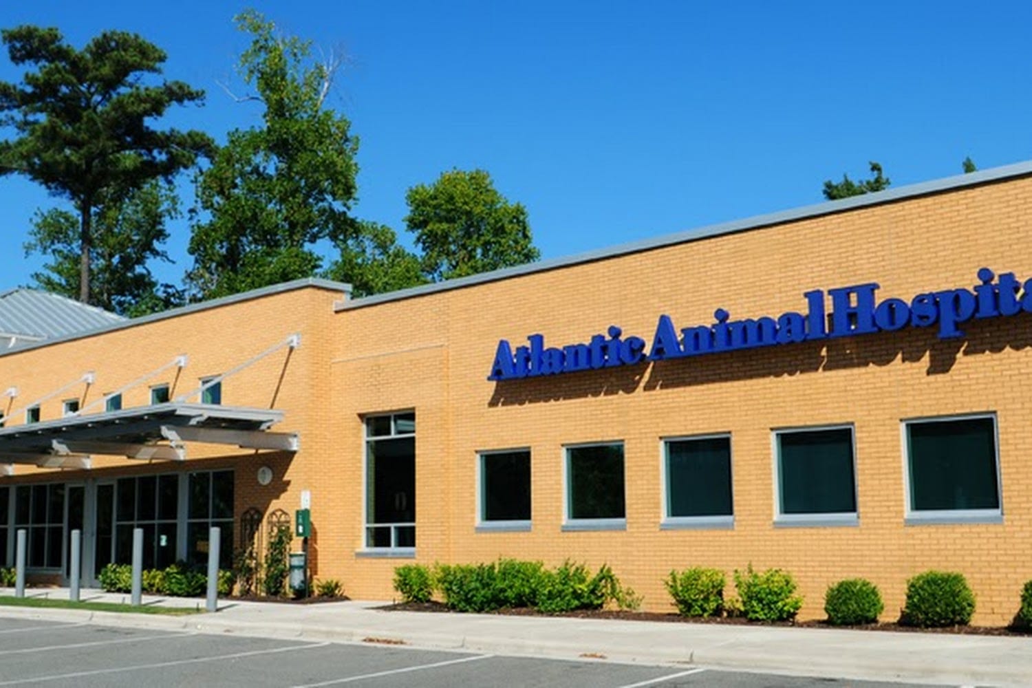 Atlantic Animal Hospital
