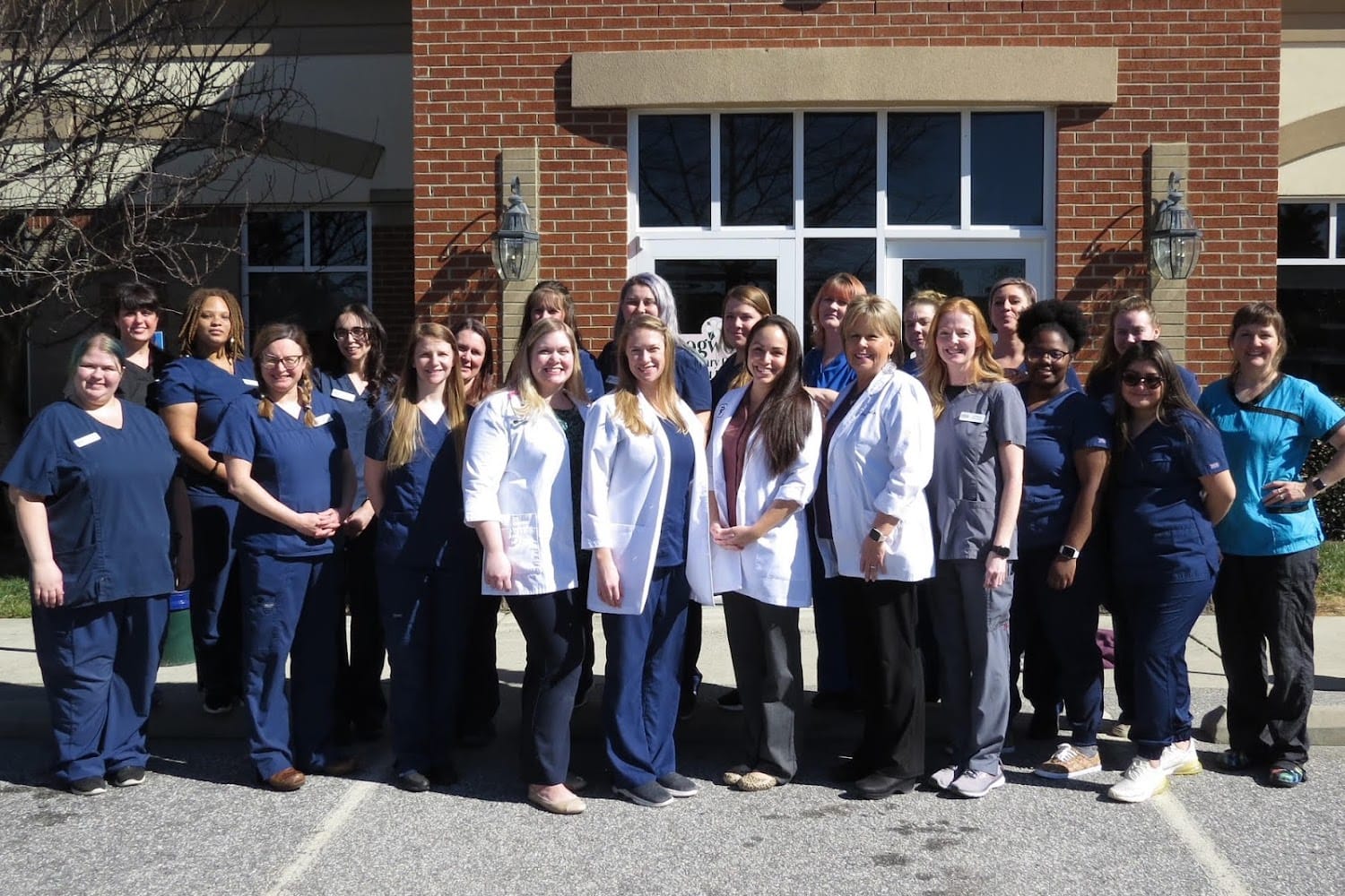 Dogwood Veterinary