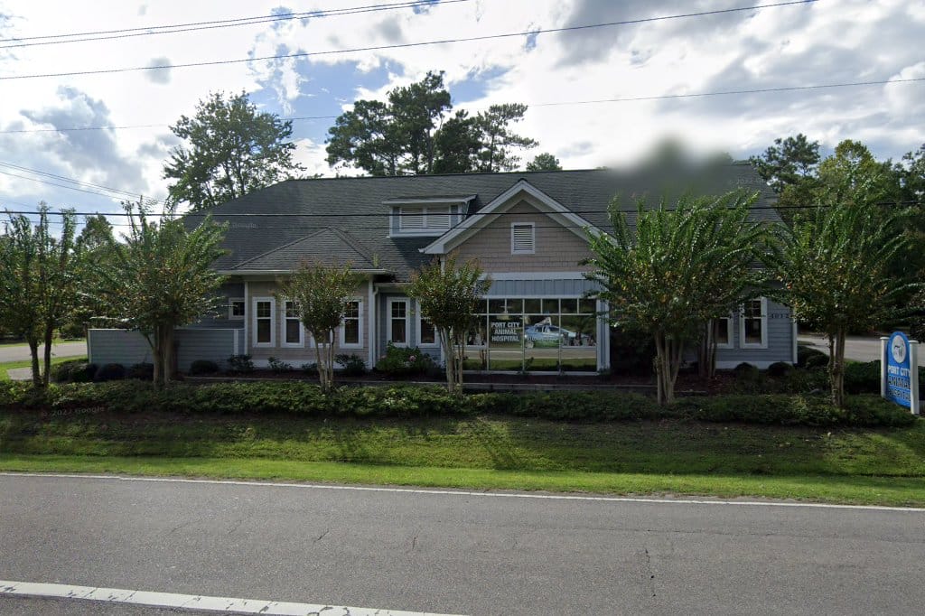 Port City Animal Hospital