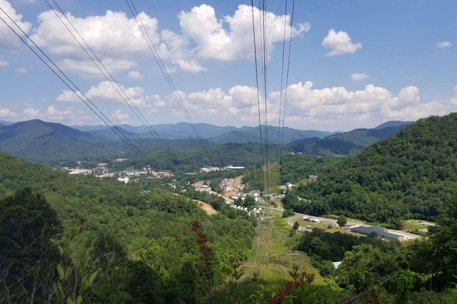 Jackson County Animal Shelter
