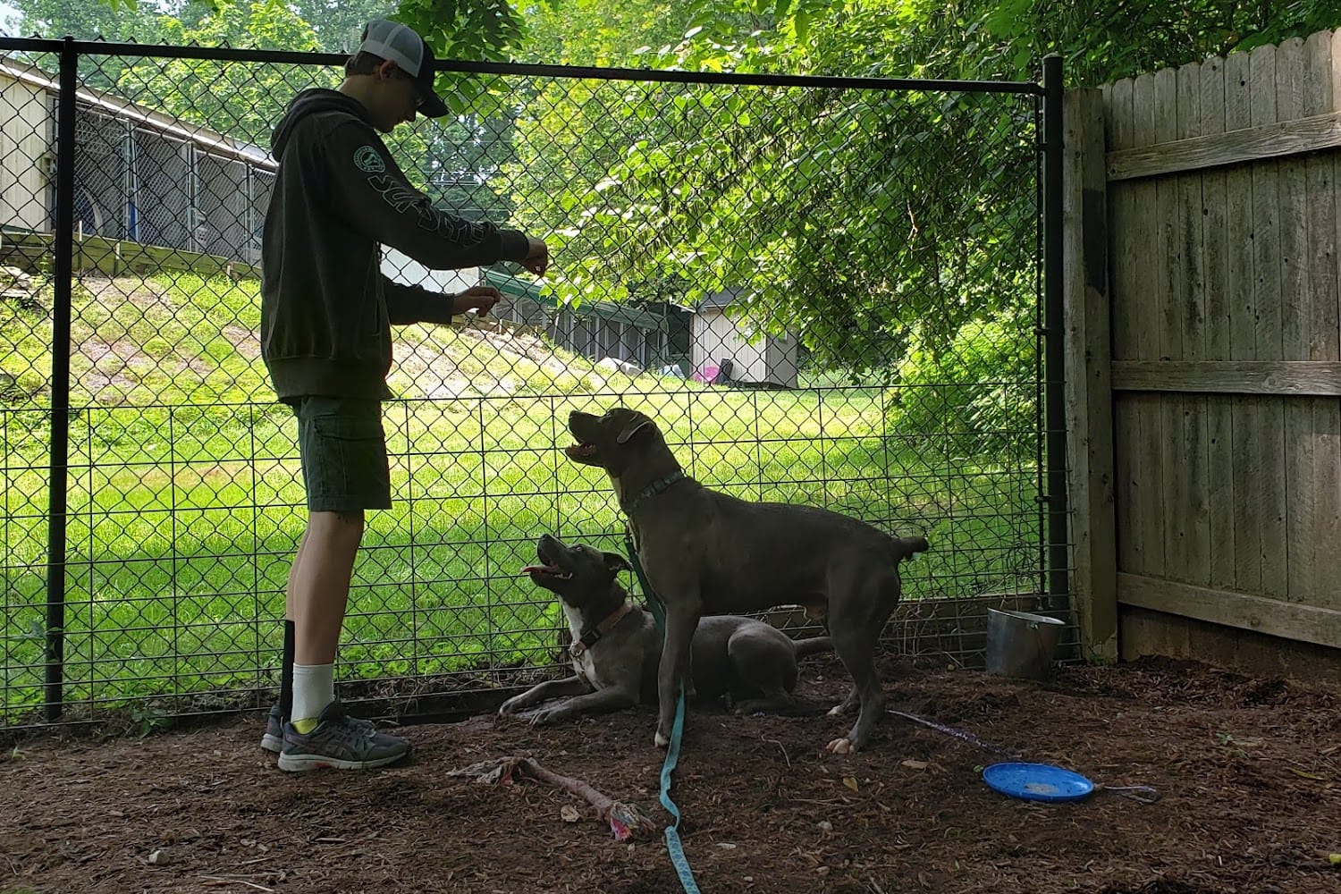 Owen County Humane Society