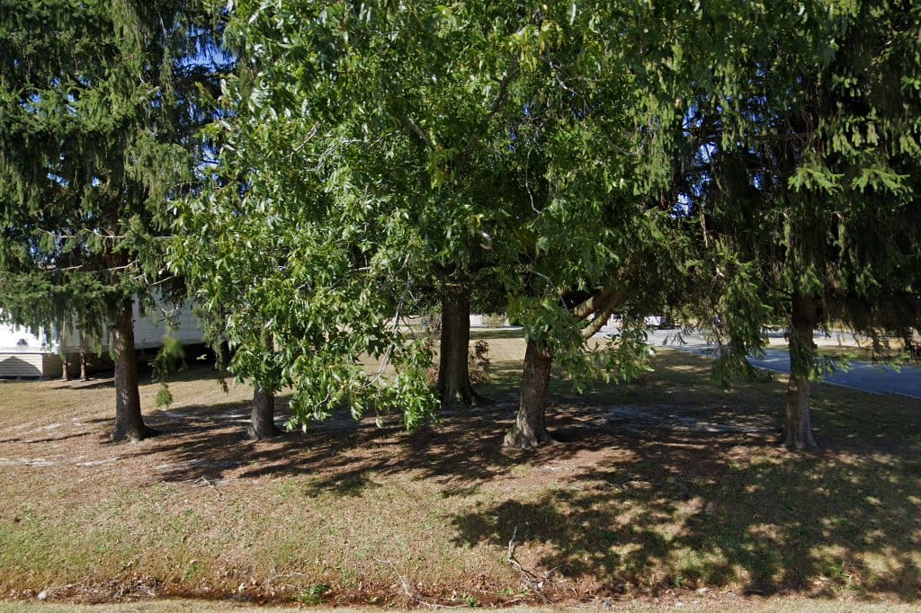 Sussex Veterinary Hospital