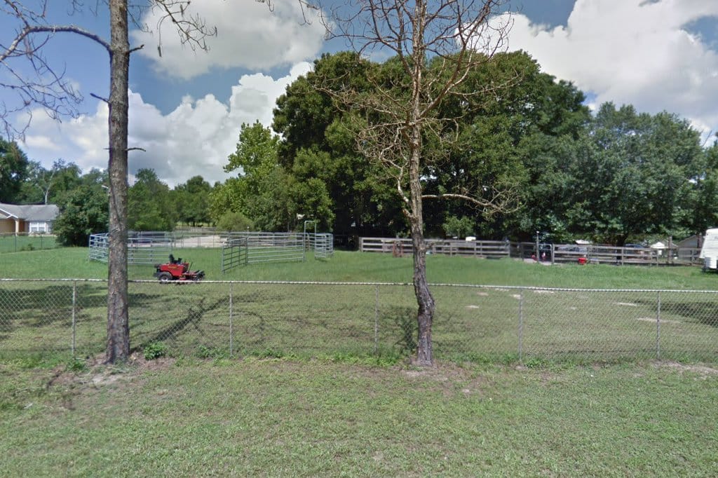 Howey Horse Haven