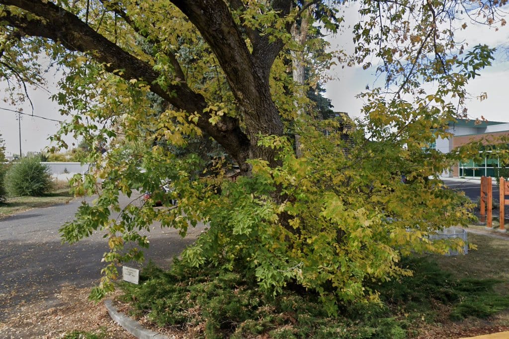 Cedar Veterinary Hospital