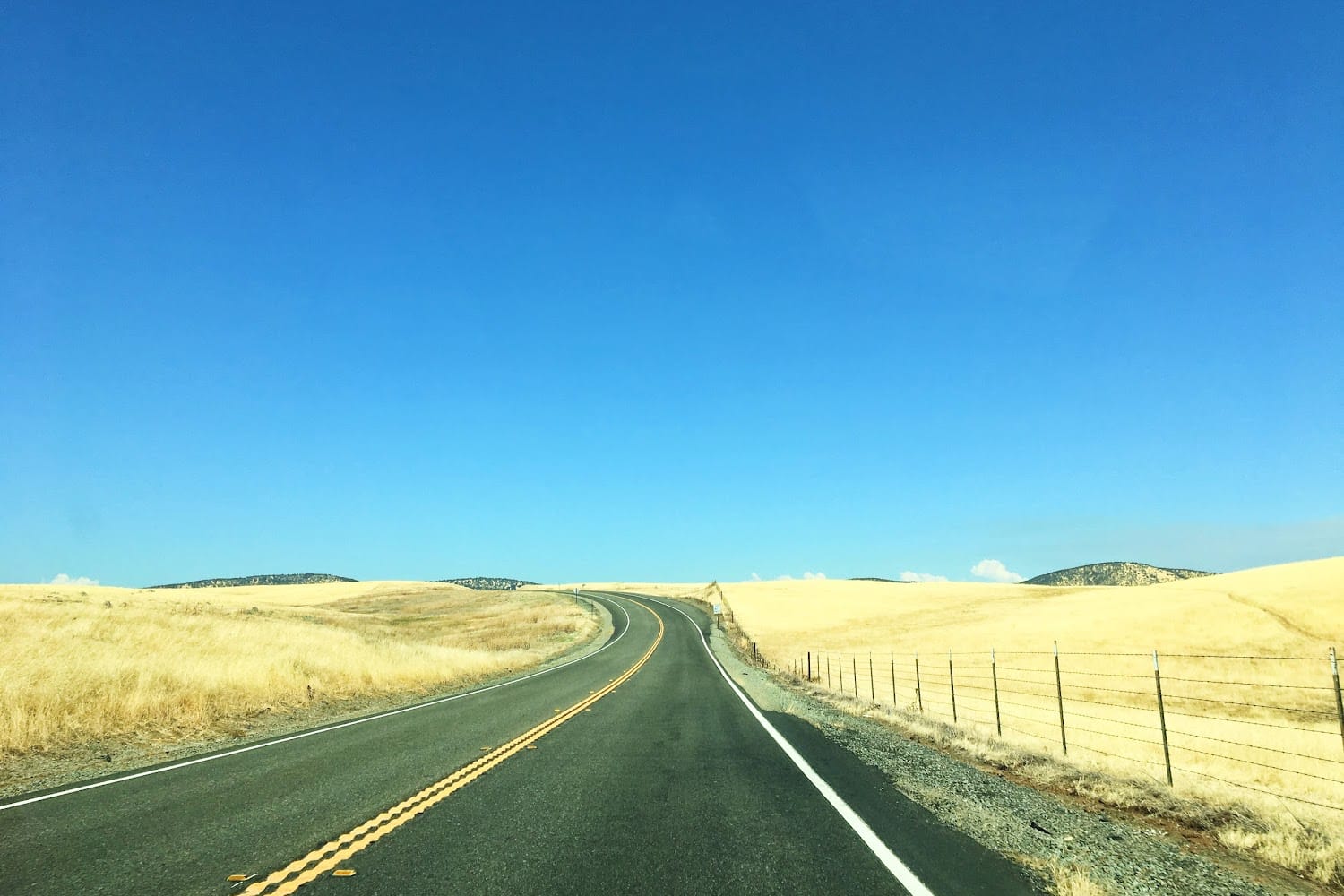 Humane Society of Calaveras County