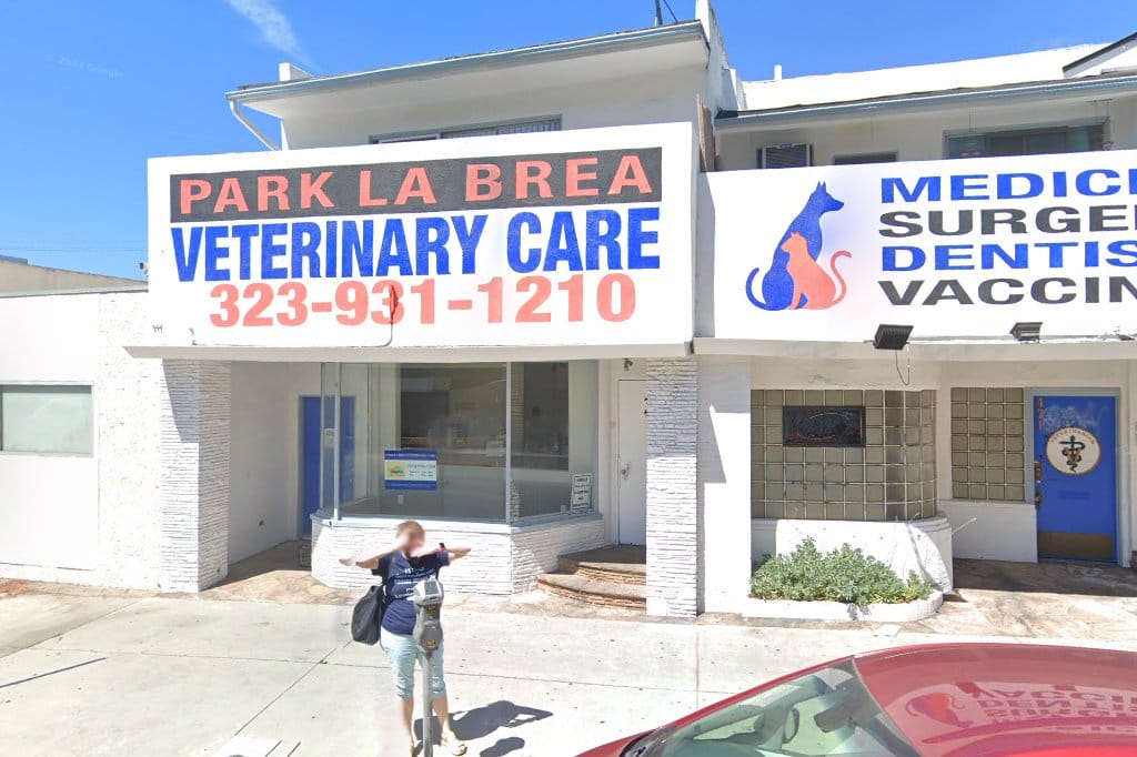 Cat and Dog Rescue Association