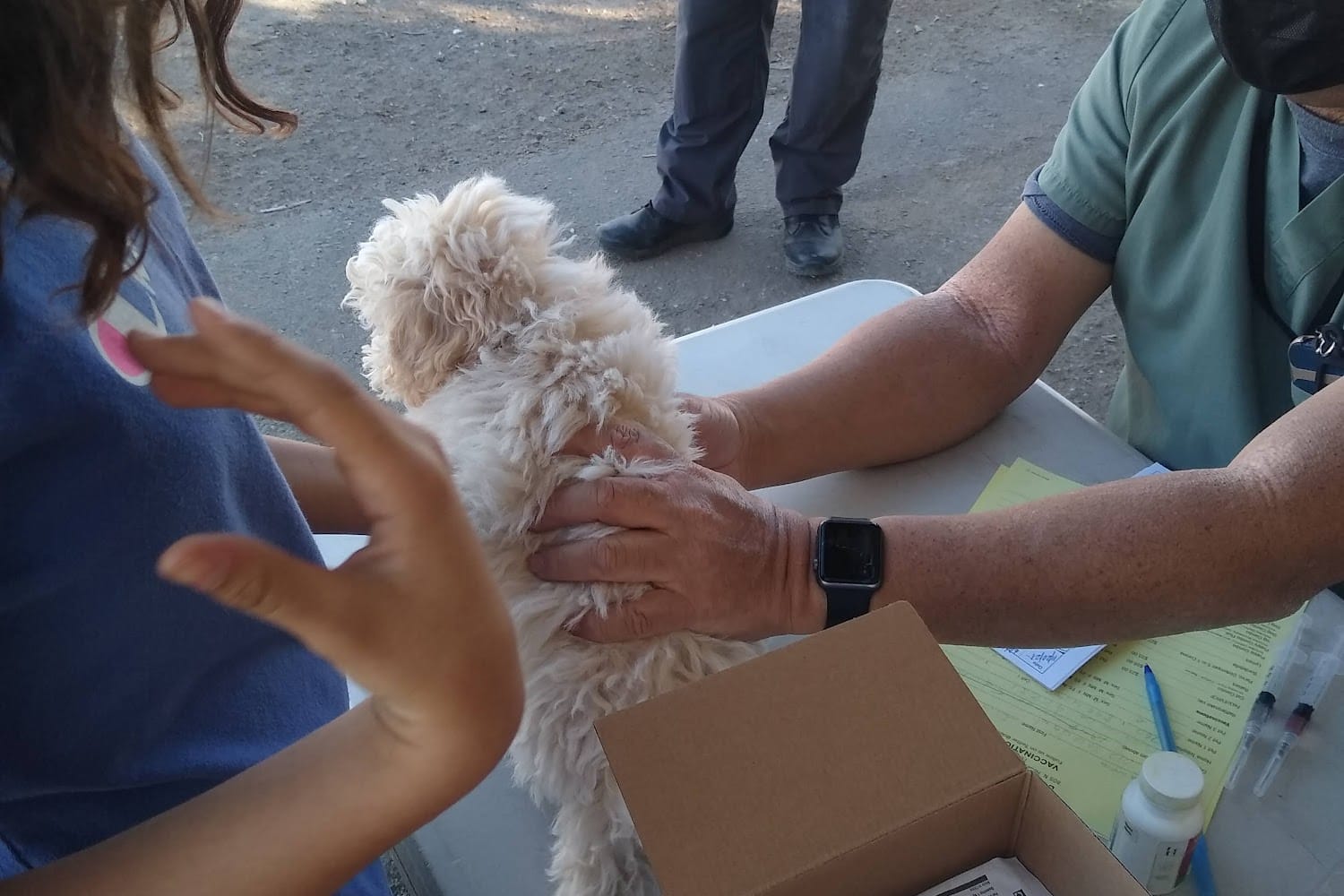 Imperial County Animal Control